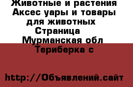 Животные и растения Аксесcуары и товары для животных - Страница 2 . Мурманская обл.,Териберка с.